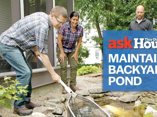How to Maintain a Backyard Pond | Ask This Old House