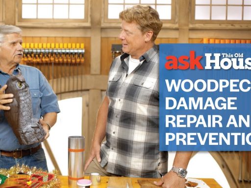 Woodpecker Damage Repair and Prevention | Ask This Old House