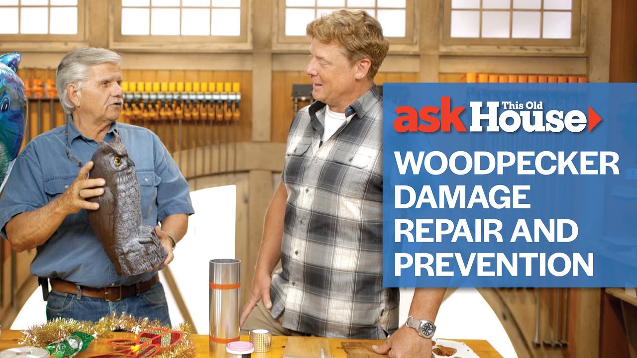 Woodpecker Damage Repair and Prevention | Ask This Old House
