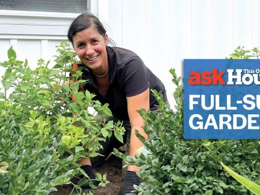 How to Create a Full-Sun Garden | Ask This Old House