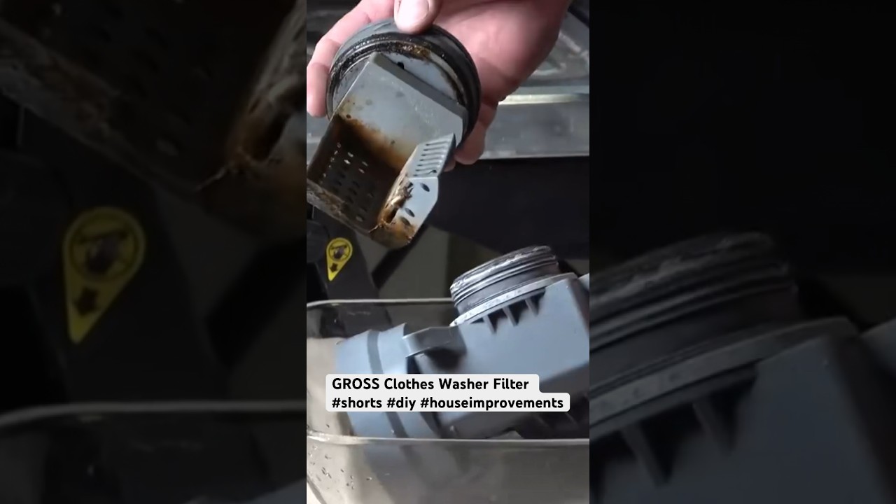 GROSS Clothes Washer Filter