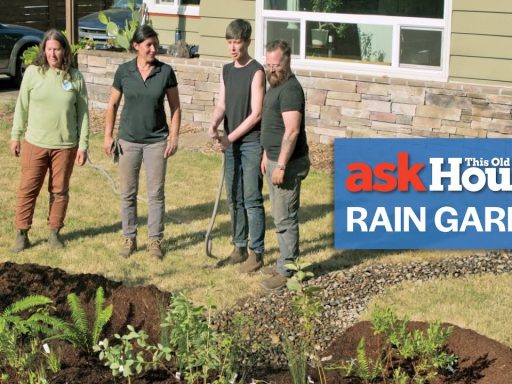 How To Create a Rain Garden | Ask This Old House