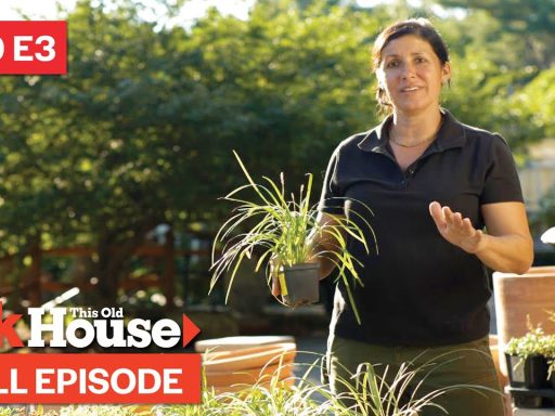 ASK This Old House | Hole Patches, Threshold Repair (S20 E3) FULL EPISODE