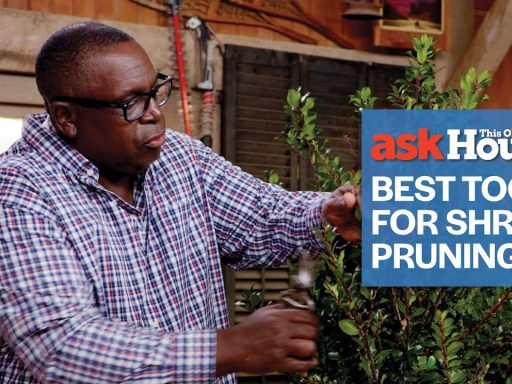 Best Tools for Shrub Pruning | Ask This Old House